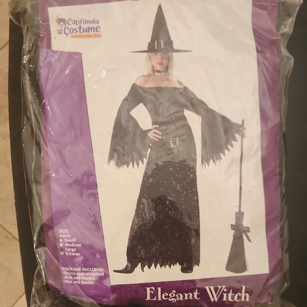 California Costumes Elegant Witch Kids Costume - Black and Silver